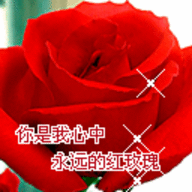情人节祝福短信推荐（最新情人短信大全） 第15张