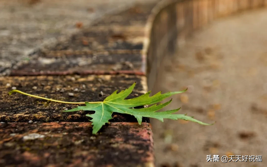 简短抖音点赞最火最高句子（抖音能让人狂赞的说说） 第5张