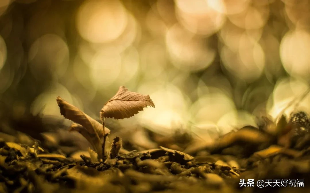 简短抖音点赞最火最高句子（抖音能让人狂赞的说说） 第7张