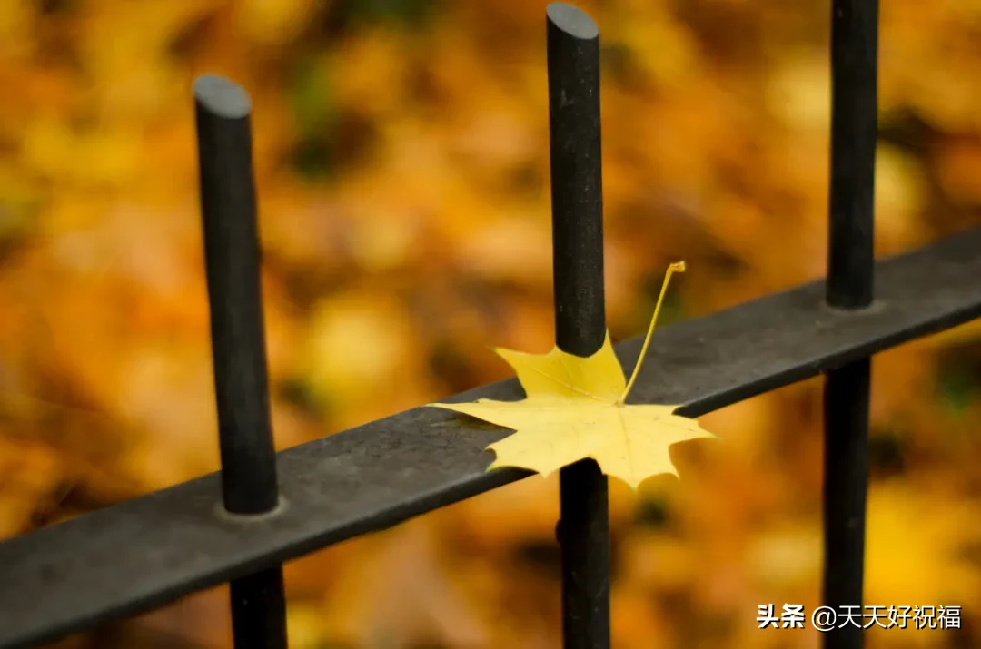 简短抖音点赞最火最高句子（抖音能让人狂赞的说说） 第9张