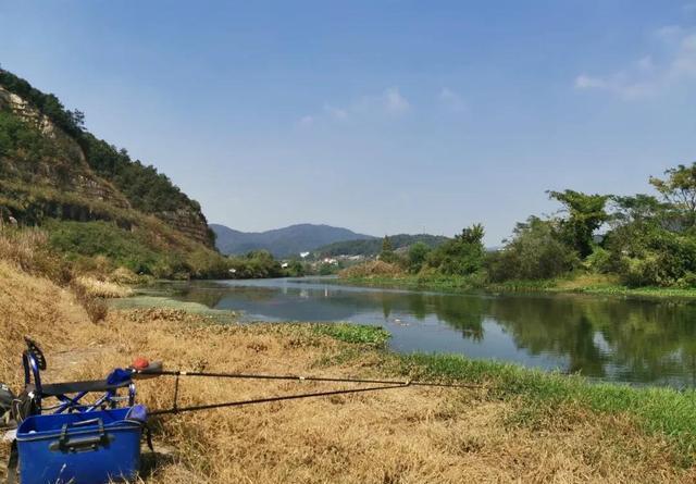 冬钓鲫鱼选钓位：找水草是第一步 第5张