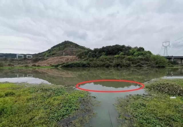 冬钓鲫鱼选钓位：找水草是第一步 第9张