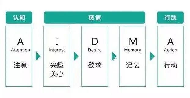 KOL营销新战略！小红书品牌破局“内卷”的发力点在哪里？ 第15张
