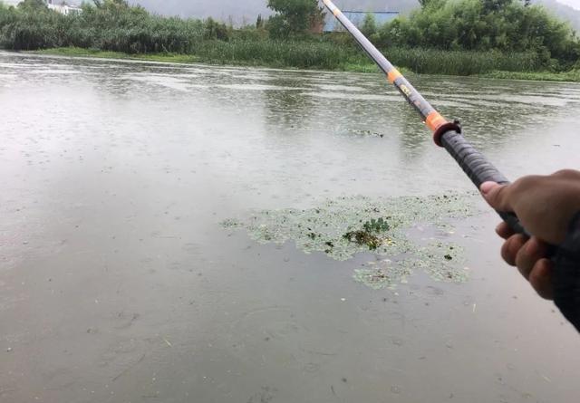 下完大雨河水暴涨，这些地方鱼最多，老钓友都抢着坐 第1张