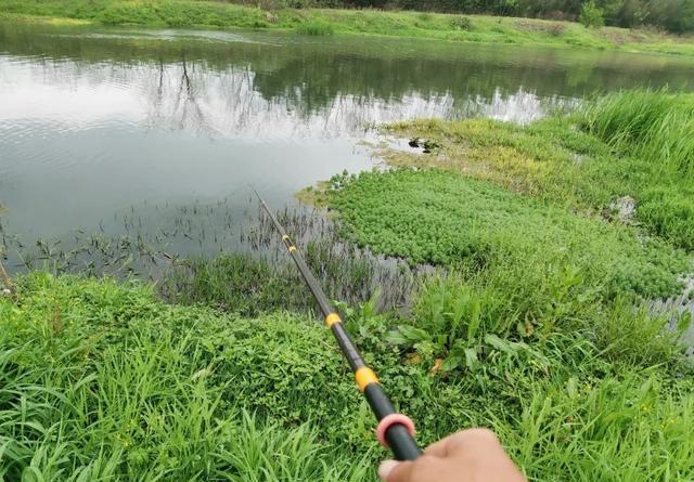 下完大雨河水暴涨，这些地方鱼最多，老钓友都抢着坐 第5张