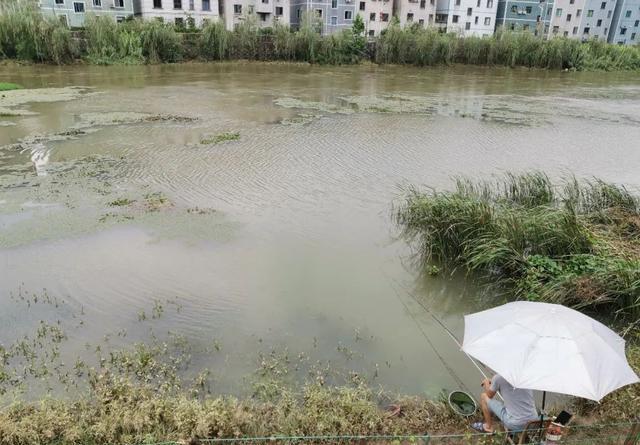 下完大雨河水暴涨，这些地方鱼最多，老钓友都抢着坐 第9张