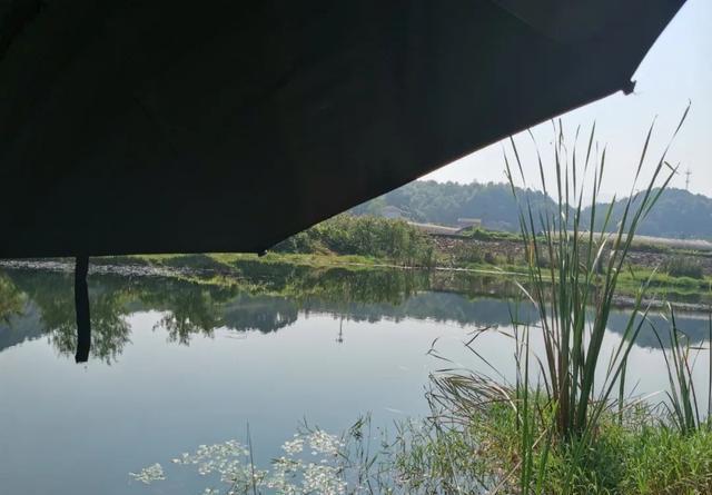 天气沉闷鱼不开口？赶紧换钓位，在这些地方下钩能好转 第1张