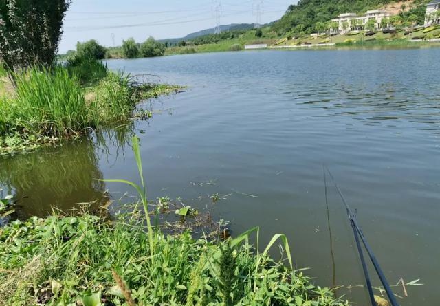 天气沉闷鱼不开口？赶紧换钓位，在这些地方下钩能好转 第3张