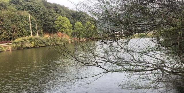 天气沉闷鱼不开口？赶紧换钓位，在这些地方下钩能好转 第7张