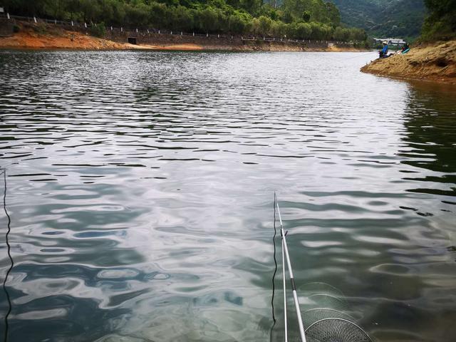 涨水后首选这几个地方，只要钓况非极端爆护概率大 第1张