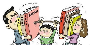 高中数学学习的方法具体介绍 第1张