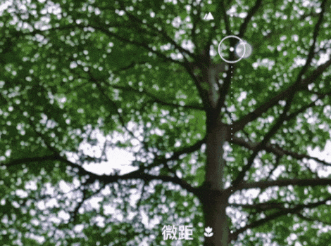 怎样用手机拍出好看的失焦照片 第9张