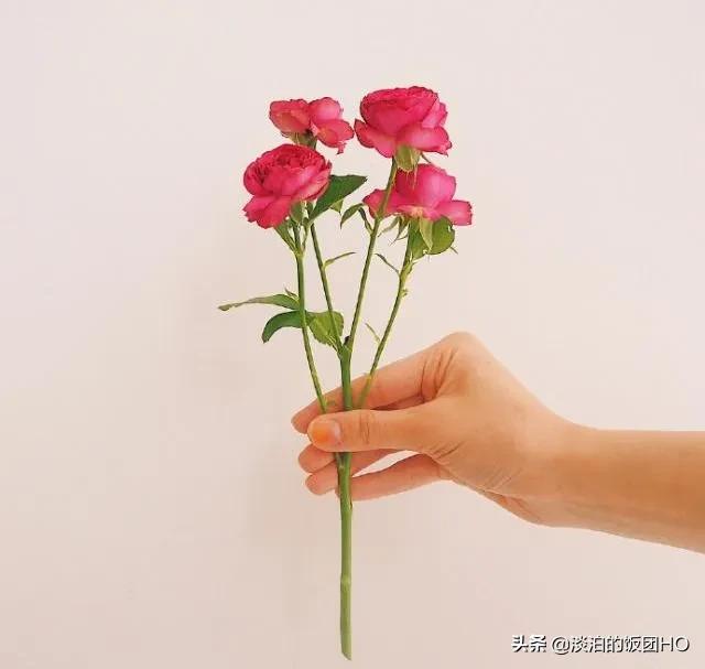 圣诞节快乐的祝词（祝福圣诞节快乐的句子） 第1张