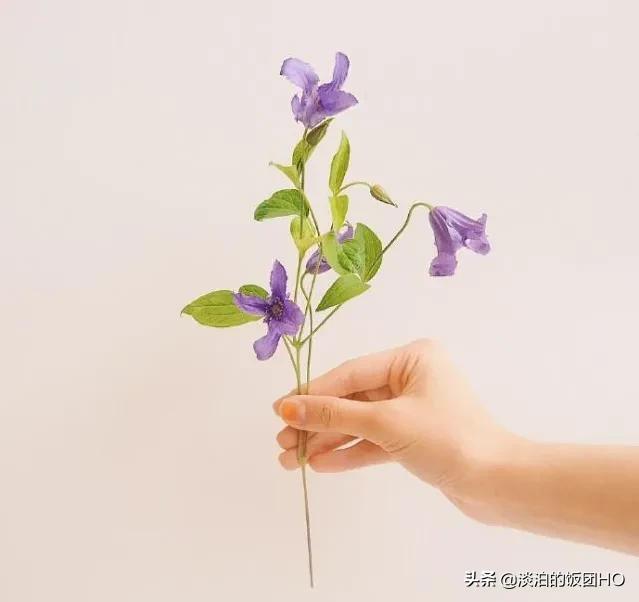 圣诞节快乐的祝词（祝福圣诞节快乐的句子） 第5张