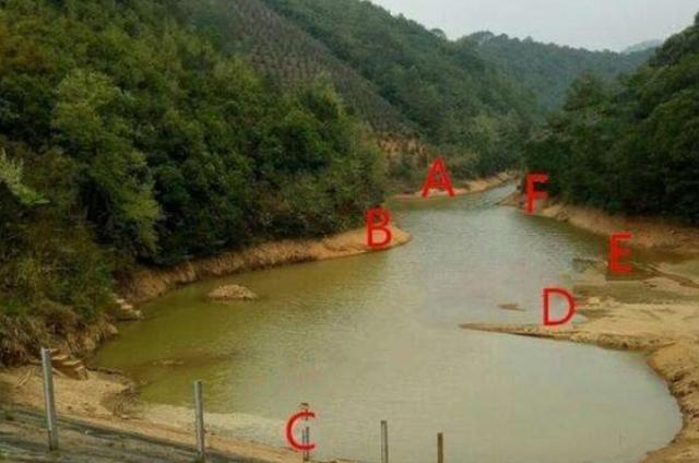找到3个风水宝地，鲫鲤鱼接二连三的上 第3张