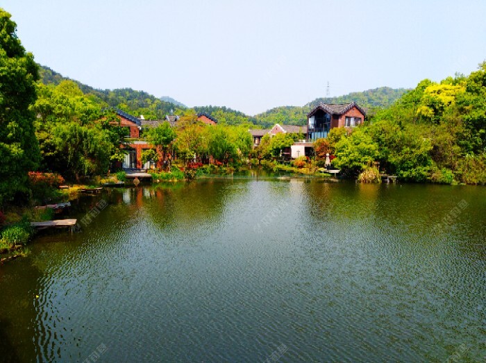 对钓场环境的了解与观察，能有效增加渔获量 第5张