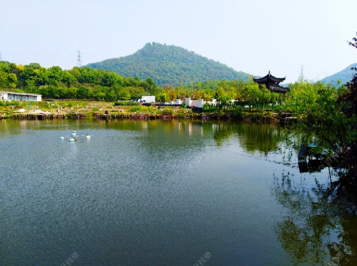 对钓场环境的了解与观察，能有效增加渔获量 第9张