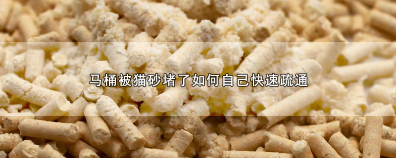 马桶被猫砂堵了如何自己快速疏通 第1张