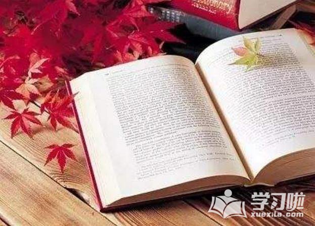 初中生在语文学习中如何养成良好的学习习惯? 第3张