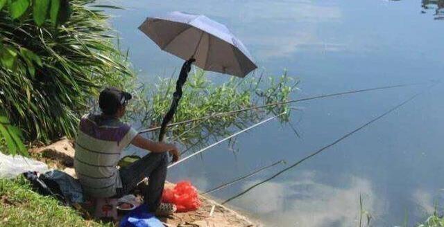 青鱼应分析水中氧含量与鱼情之间的关系，选择作钓位置 第19张