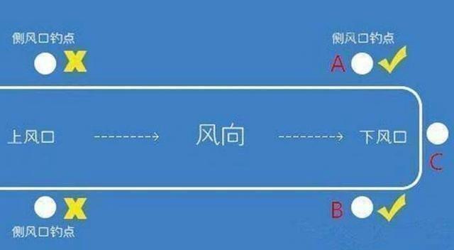 青鱼应分析水中氧含量与鱼情之间的关系，选择作钓位置 第21张