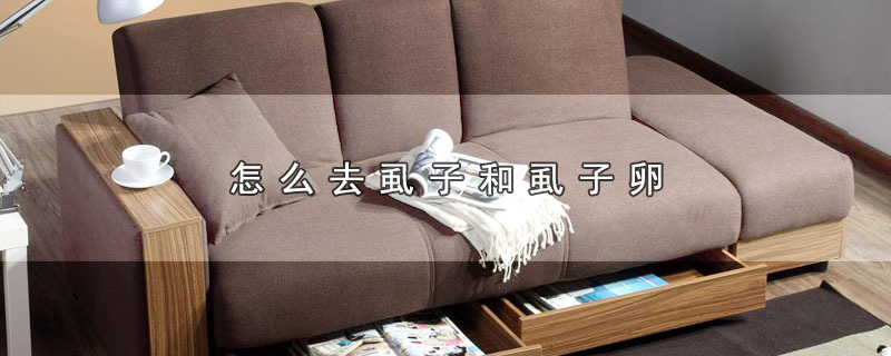 怎么去虱子和虱子卵 第1张