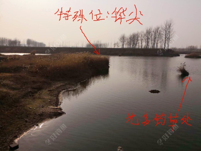 春钓懂地利：春季选钓位的三个思路 第5张