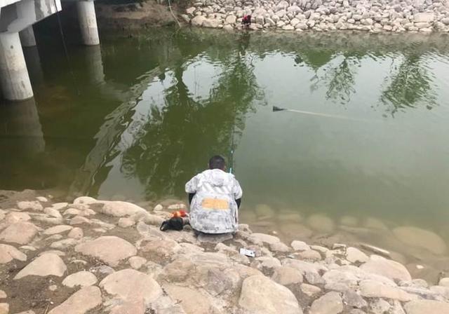 新钓位的3个缺点和3个优点，具体在哪钓鱼就看你怎么选 第5张