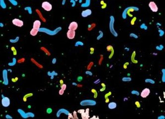 微生物：海洋中数量最多的生物 第3张