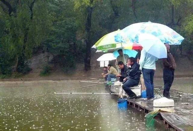 下雨天钓鱼，季节不同，钓点深浅选择有讲究 第7张