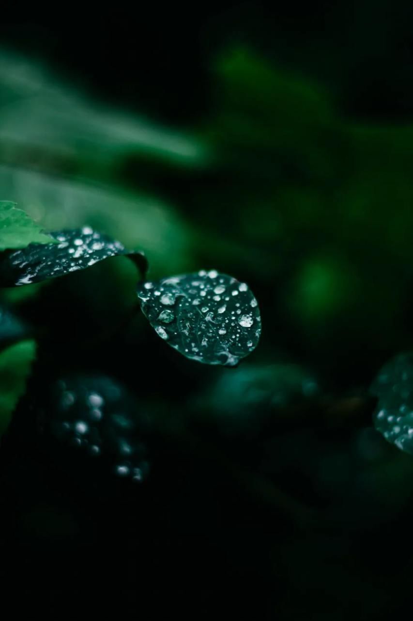 如何拍出春雨的味道和感觉 第3张