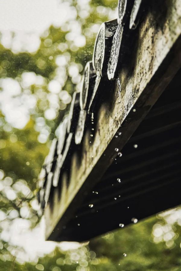 如何拍出春雨的味道和感觉 第5张