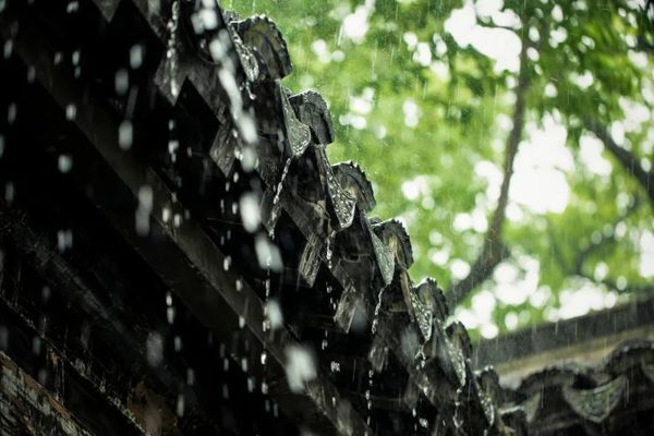 如何拍出春雨的味道和感觉 第11张