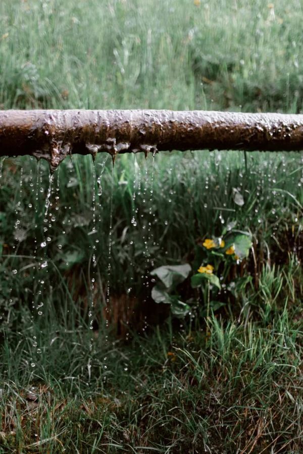 如何拍出春雨的味道和感觉 第13张