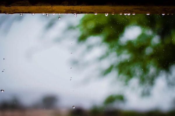 如何拍出春雨的味道和感觉 第15张