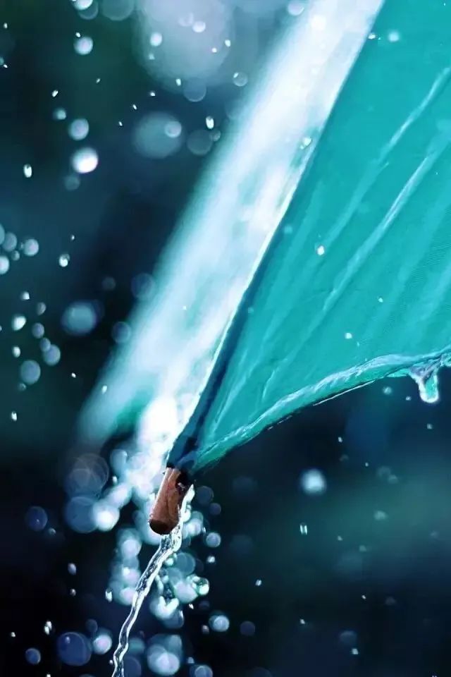 如何拍出春雨的味道和感觉 第17张