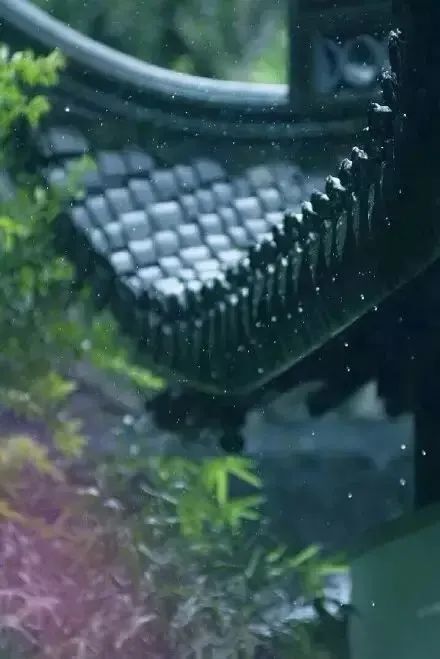 如何拍出春雨的味道和感觉 第29张