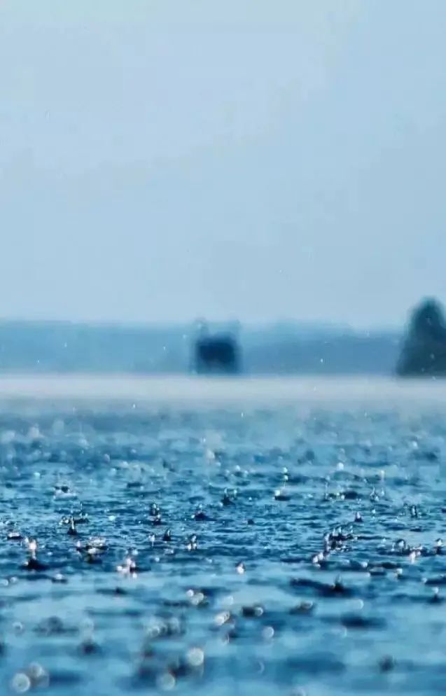 如何拍出春雨的味道和感觉 第31张