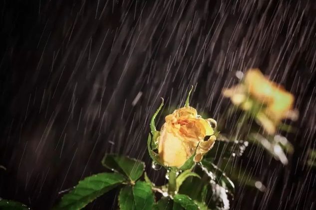 如何用手机在阴雨天拍出别具一格的故事感大片 第15张