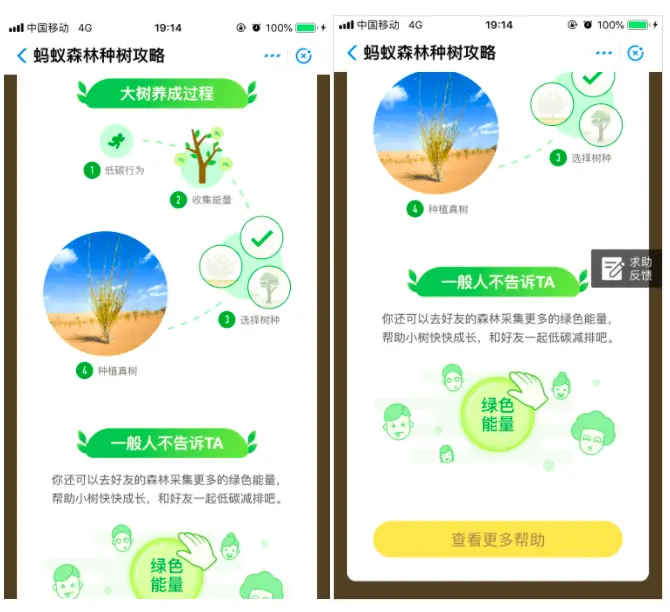 多多果园，盈利了！何解？ 第21张