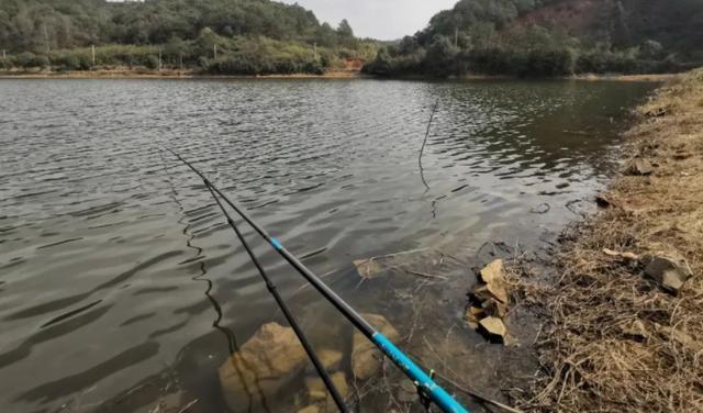 野钓如何选择钩、线？读懂浮漂的语言 第5张