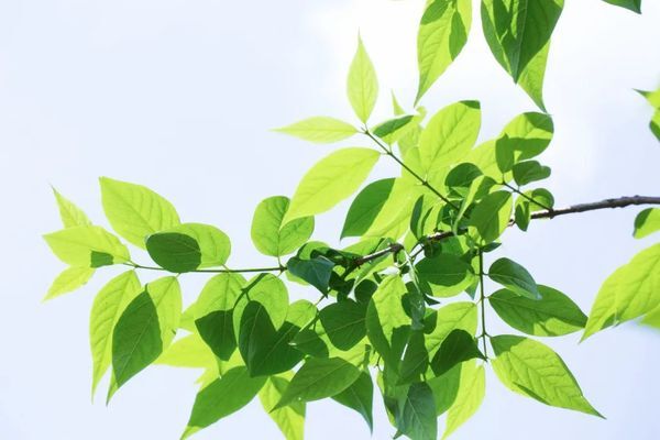 如何提高照片的通透感 第9张