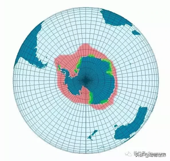 企鹅没有脖子吗？企鹅只生活在南极吗？读完这篇文章-全解（一） 第37张