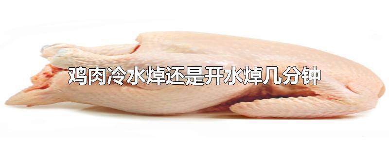 鸡肉冷水焯还是开水焯几分钟 第1张