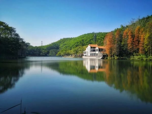 华为手机丝绢流水模式的多种有趣玩法 第11张
