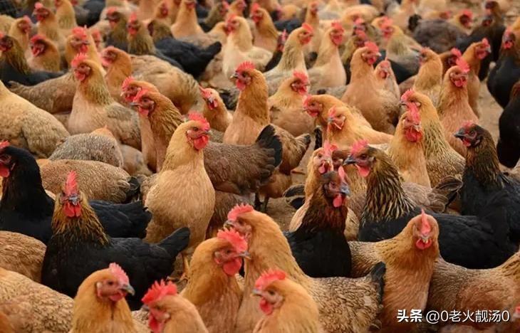创业赚钱的秘密五：敢想敢做，一切都有可能 第5张
