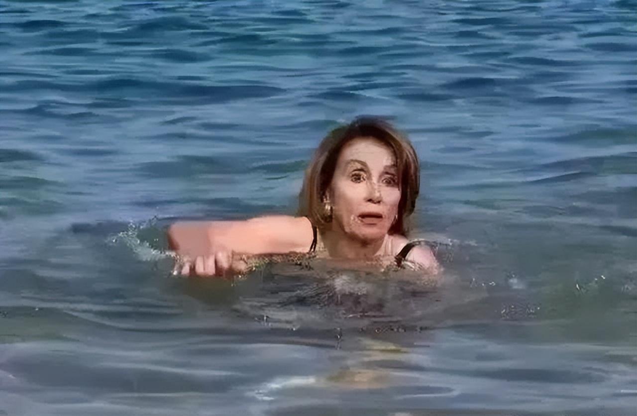如今全网关注的佩洛西究竟是何许人也（佩洛西的个人介绍和人物事迹） 第7张