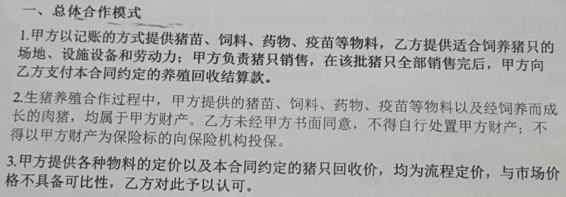 正邦科技被曝“猪吃猪”现象背后，代养户：两个月自费近40万买饲料后，选择报警卖猪 第3张