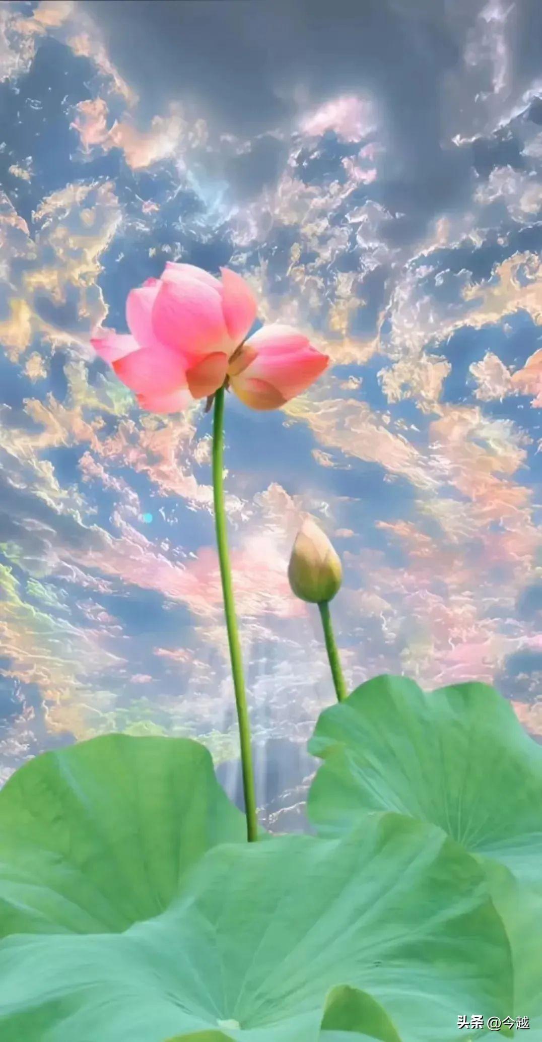 江西周劼炫权炫富与二舅治好了我的精神内耗，正确的三观有多重要 第7张