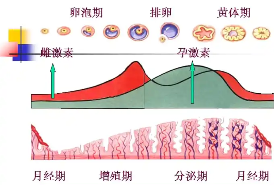 在太空6个月，航天员怎么处理卫生问题？回来身上是不是臭的？ 第21张